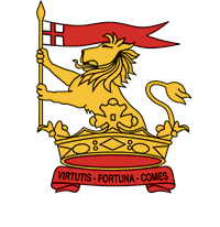 Cricket Wellington logo